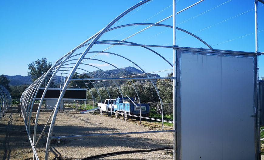 Mushroom Greenhouse