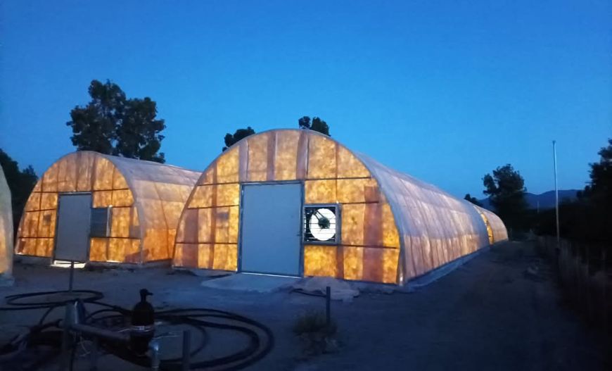 Mushroom Greenhouse